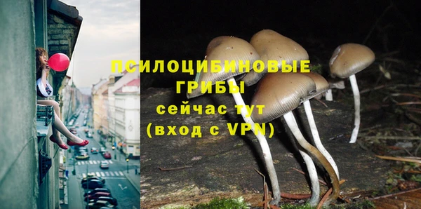 круглые Зеленокумск