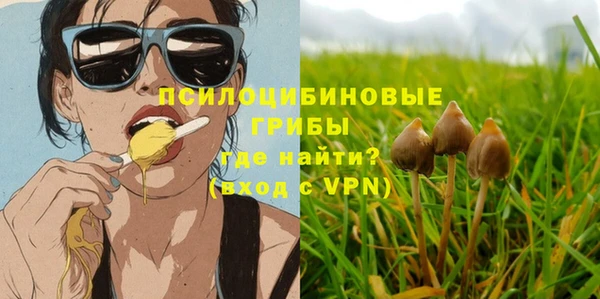 прущий лед Данков