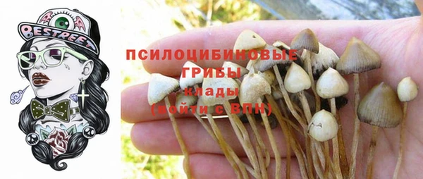 2c-b Зерноград