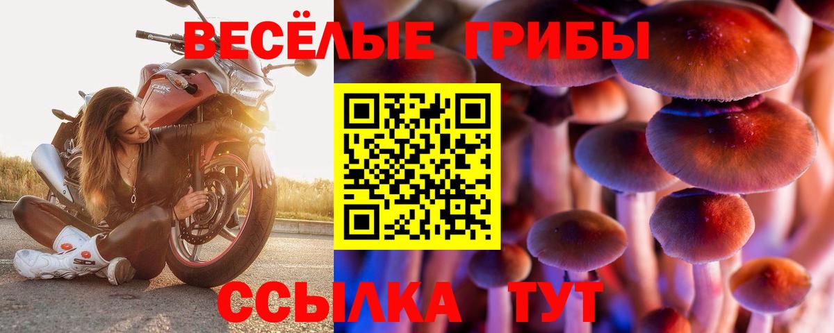 Псилоцибиновые грибы мицелий  Галлюциногенные грибы Magic Shrooms  Вход с VPN  Избербаш 