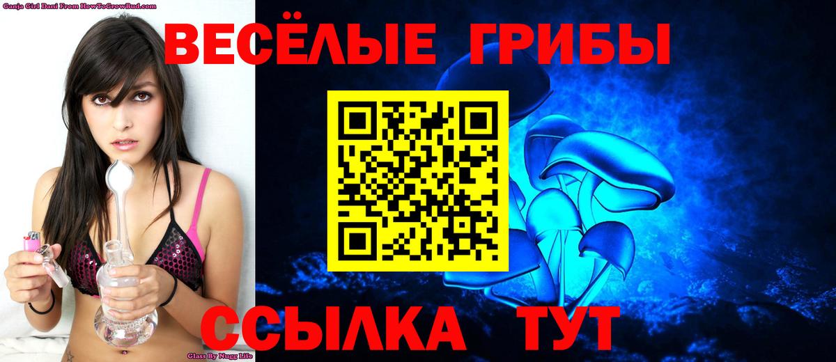 Галлюциногенные грибы MAGIC MUSHROOMS Избербаш